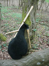 Hmmelchen Bild 2